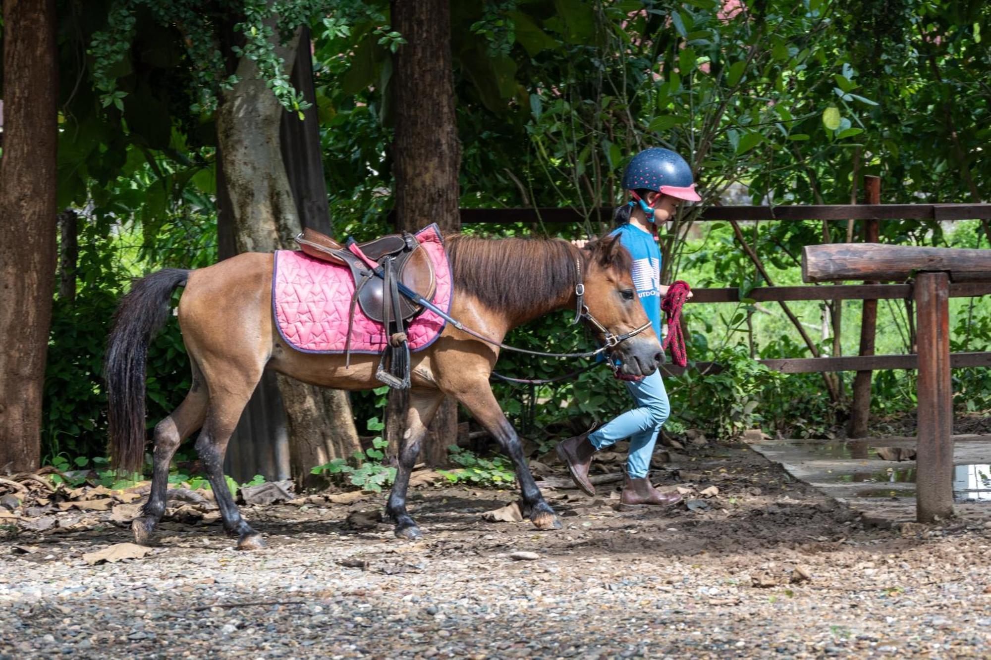 Namkhan Horses Stables Luang Prabang Esterno foto