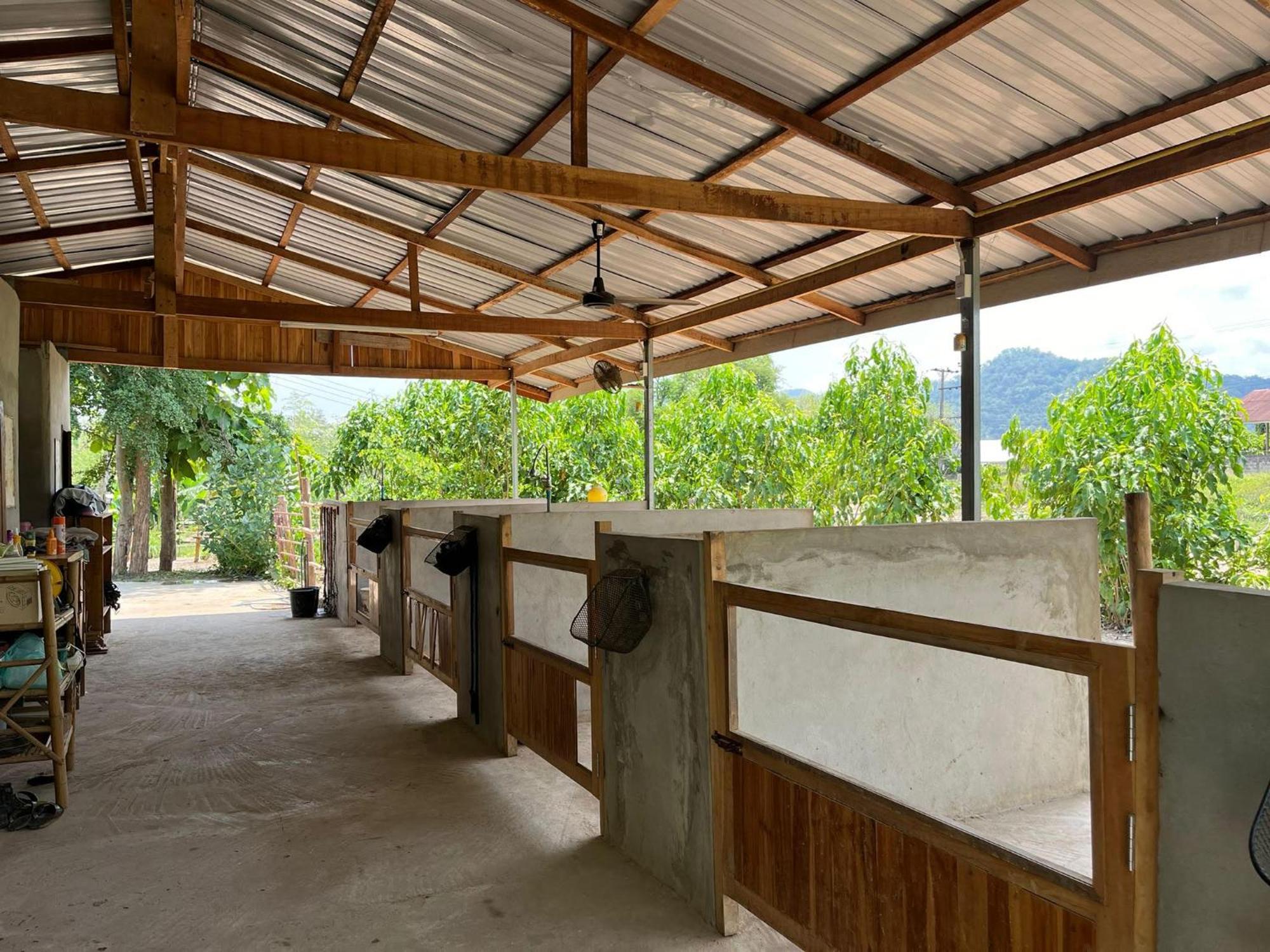 Namkhan Horses Stables Luang Prabang Esterno foto